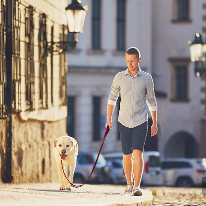 4FT Heavy Duty Dog Leash with Soft Padded Double Handle, Durable Strong Clasp Dog Leashes, Reflective Nylon Walking Lead for Large,Medium,Small Breed Dogs, Red